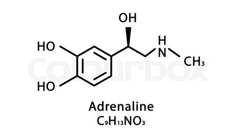 Adrenaline molecular structure. Epinephrine skeletal chemical formula. Chemical molecular ...