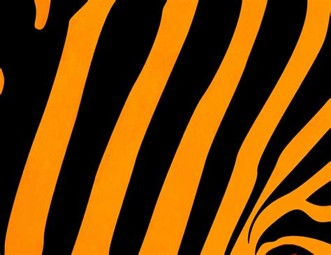 Tiger Stripes Wallpapers - Wallpaper Cave