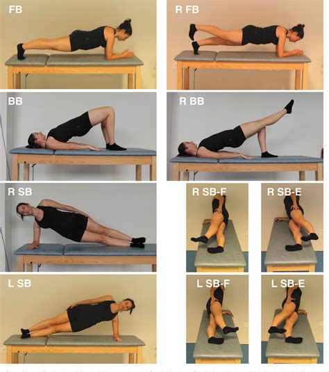 Figure 1 from Trunk muscle activation during stabilization exercises ...