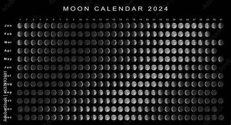 Moon Calendar 2024 Northern Hemisphere Stock Illustration | Adobe Stock