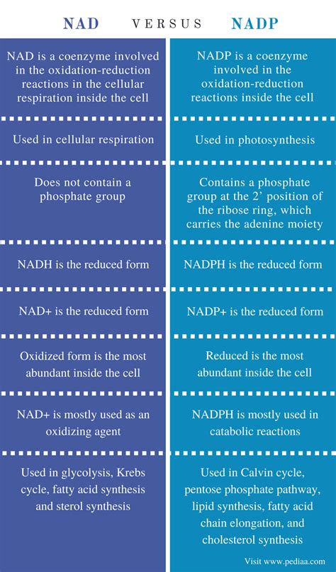 Difference Between NAD and NADP | Definition, Features, Function, Similarities