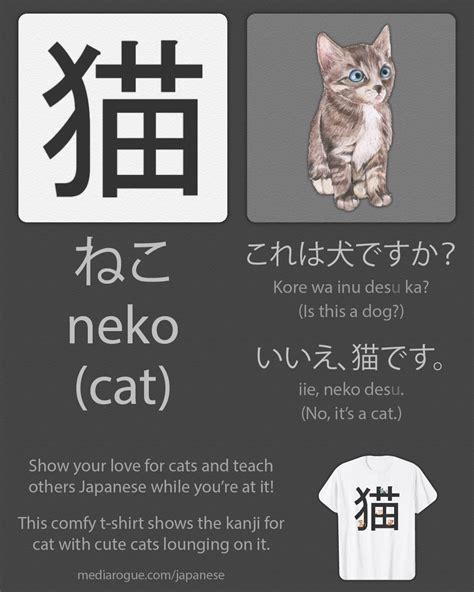 Japanese Kanji for Cat is 猫 | Japanese language lessons, Learn japanese words, Japanese language ...