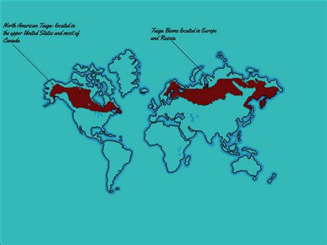 The Taiga Biome - General Information