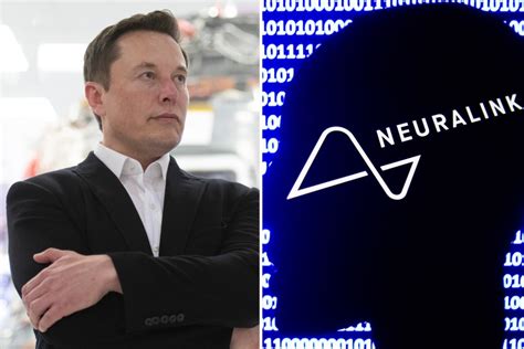 Elon Musk slammed over 'deadly' Neuralink project that could see our ...