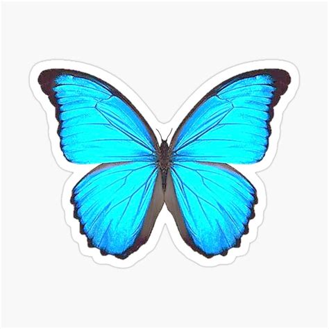 Blue Morpho Butterfly Art Sticker by AriaMarliART | Blue morpho butterfly, Blue morpho ...