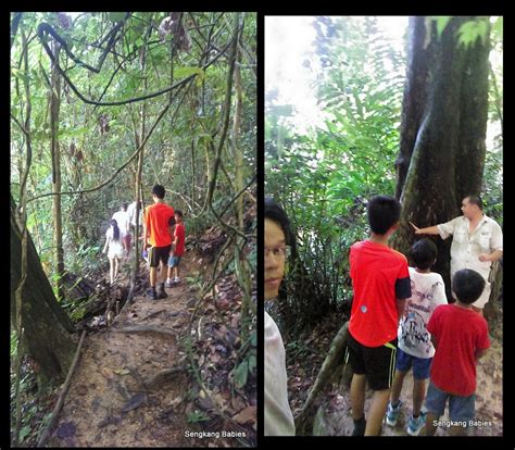 Gaya Island Family activities - Sengkang Babies