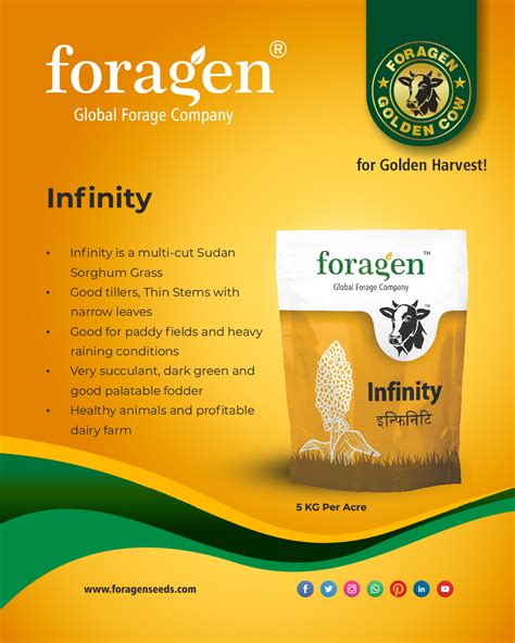 INFINITY - Buy Forage Seeds Online India | Sorghums Legumes Millets ...