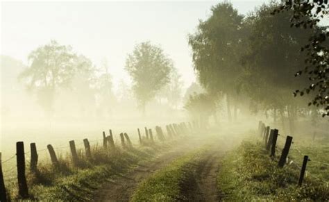 Condensation | Forms of Condensation: Dew, Fog, Frost, Mist | Types of Clouds | PMF IAS