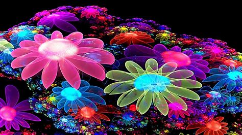 Colorful Flower Wallpaper 3D – Cute Wallpapers 2024