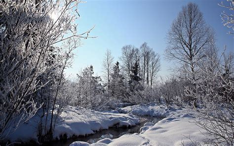 HD wallpaper: forest, frost, landscapes, nature, rivers, sky, snow ...