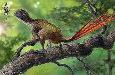 Pictures and Profiles of Feathered Dinosaurs