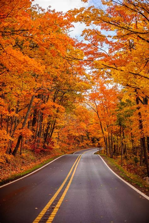 US41 near Copper Harbor, Michigan | Autumn scenery, Scenery, Fall pictures