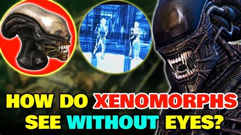 How Does Xenomorph Vision Work Without Any Eye Sockets? - Explained - YouTube