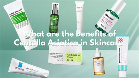 Centella Asiatica (Cica) Benefits in Skincare - Kbeauty Notes