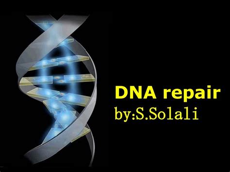 DNA repair