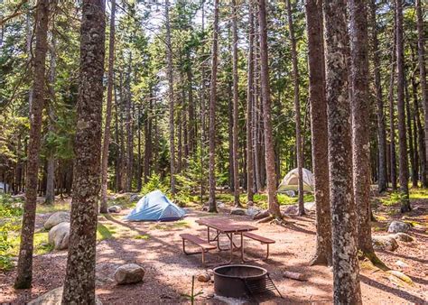 Acadia National Park Camping Guide • James Kaiser