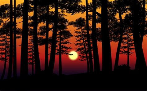 Vector illustration of sunset in forest | Premium Vector