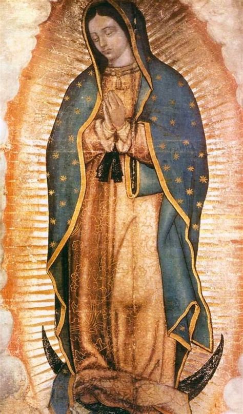 Our Lady Of Guadalupe High Resolution Images