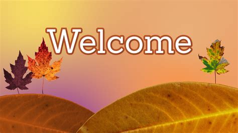 Fall Leaves Background Graphics - Progressive Church Media