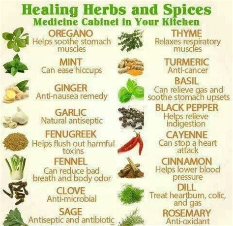 Medicinal Herb Chart | herbalism medicine