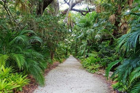 McKee Botanical Gardens: Everything You Need to Know | Plantly