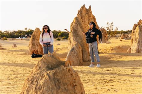 From Perth: The Pinnacles Desert Sunset And Star-Gazing Tour