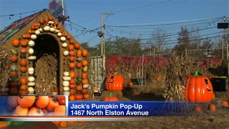 Jack's Pumpkin Pop-up brings fall fun to Goose Island - ABC7 Chicago