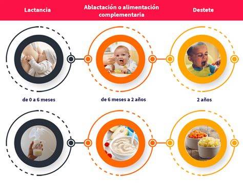 Los primeros alimentos de tu bebé | Aprende Institute