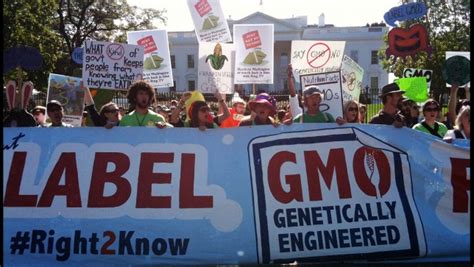 US Senators Launch 'Common Sense' GMO Labeling Act - Sustainable Pulse