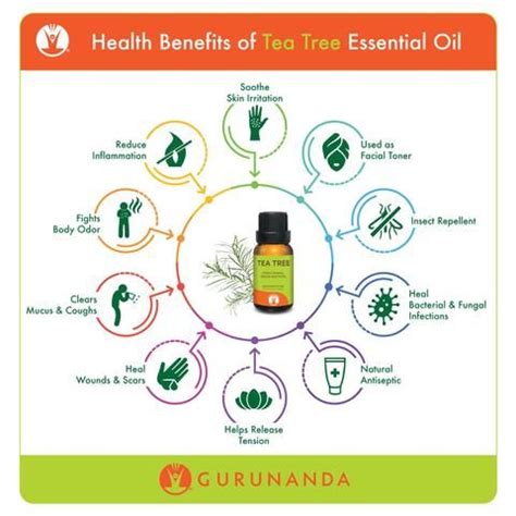 Tea Tree Benefits Infographic | Tea tree essential oil benefits, Essential oils for migraines, Oils