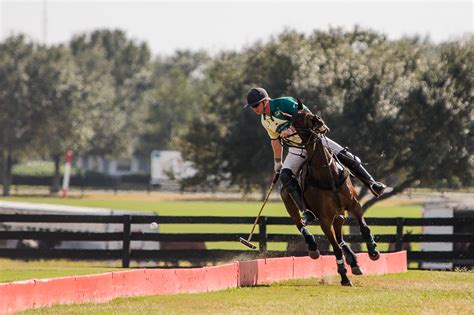 Photographing Horse Polo