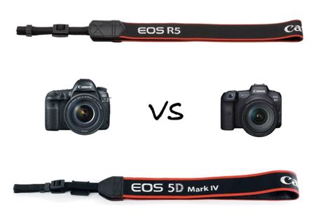 Canon EOS R5 vs Canon 5D Mark IV: Which Camera Is Best in 2022?