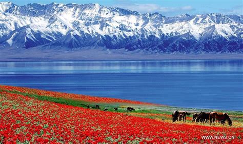 Breathtaking scenery of Xinjiang(1/5)