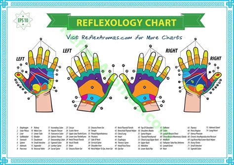 Reflexology chart, Reflexology, Hand reflexology