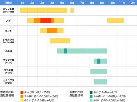 【愛知・名古屋】花粉症2020のピークはいつからいつまで？スギ・ヒノキの飛散予測についても | パパママハック