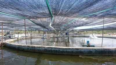 AquaCulture - Shrimp farm techniques