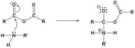 22.9 Reactions of Anhydrides - Chemistry LibreTexts