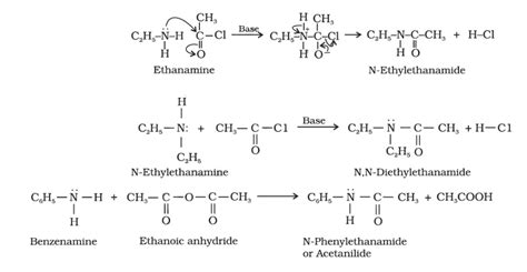 Chemical Reactions Of Amines | Acylation | Basicity | Chemistry | Byju's