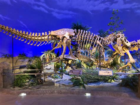 All Things Dinosaurs in March at The Children's Museum of Indianapolis ...