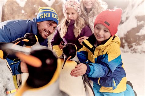 Ski Dubai celebrates over Six Years of Snow PenguinsSki Dubai celebrates over Six Years of Snow ...