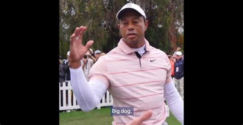 Tiger Woods "Big Dog" | Know Your Meme