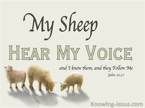 John 10:27 My Sheep Hear My Voice (beige)