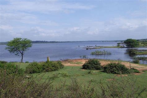 Hesaraghatta Lake Bangalore Timings, Entry Ticket Cost and Fee