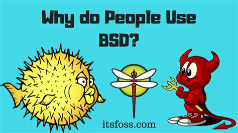 6 Reasons Why Linux Users Switch to BSD