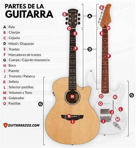 Partes de una guitarra | Guitarras, Partes de la misa, Acordes de guitarra