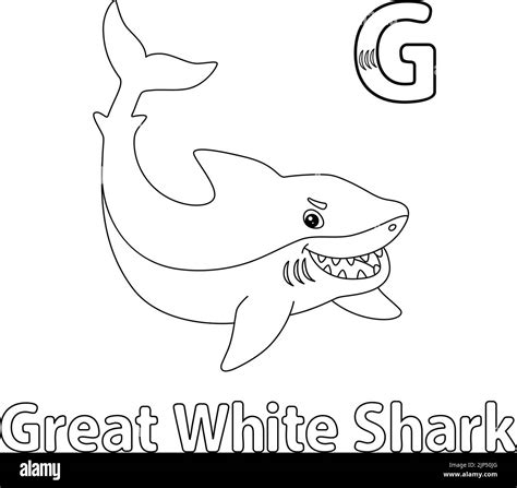 Great White Shark Alphabet ABC Coloring Page G Stock Vector Image & Art - Alamy