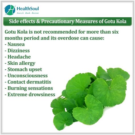 Gotu kola Benefits – Healthsoul