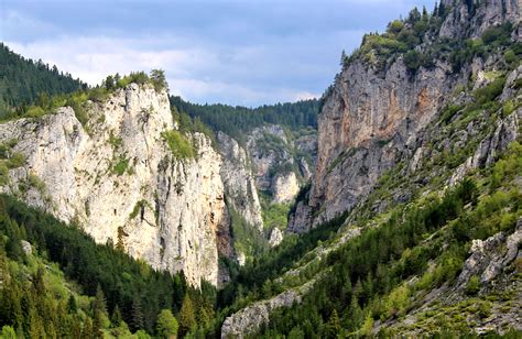 Rhodope Mountains Stationery Hiking Trek. Walking Tour In Bulgaria.