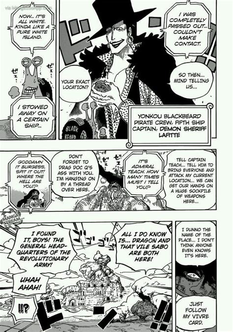 One Piece: Zou Arc (Manga) Chapter 803 | Anime Amino