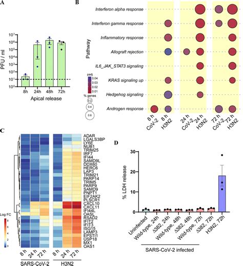 Comparison of transcriptional response to SARS-CoV-2 vs H3N2. (A) H3N2... | Download Scientific ...